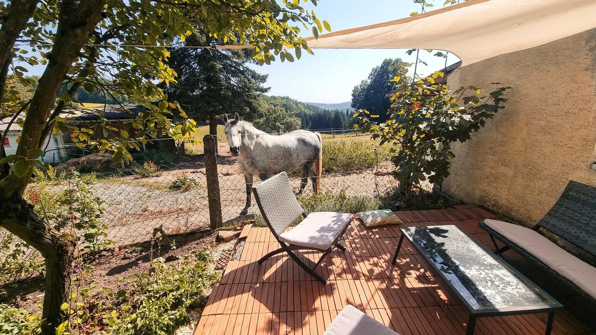 Apartment 2 Zimmer Wohnung Mit Traumhaftem Blick In Die Natur Neustadt bei Coburg